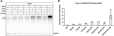 Pharmacological Responses of the G542X-CFTR to CFTR Modulators